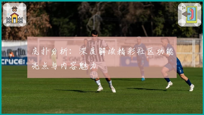 虎扑分析：深度解读精彩社区功能亮点与内容魅力