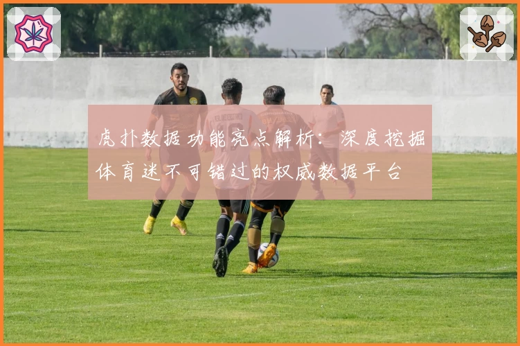 虎扑数据功能亮点解析：深度挖掘体育迷不可错过的权威数据平台