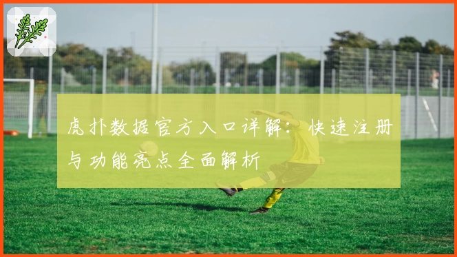 虎扑数据官方入口详解：快速注册与功能亮点全面解析
