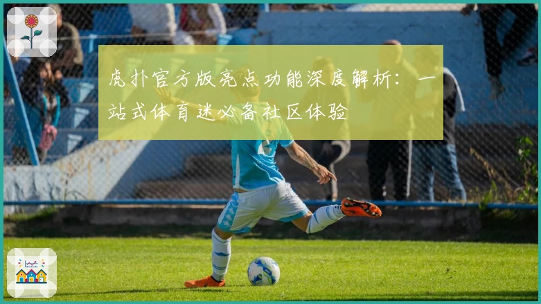 虎扑官方版亮点功能深度解析：一站式体育迷必备社区体验