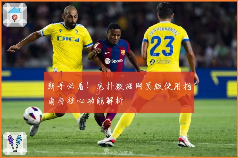 新手必看!虎扑数据网页版使用指南与核心功能解析